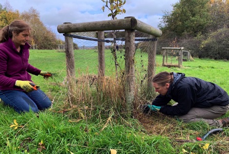 Two women clearing scrub from around a tree